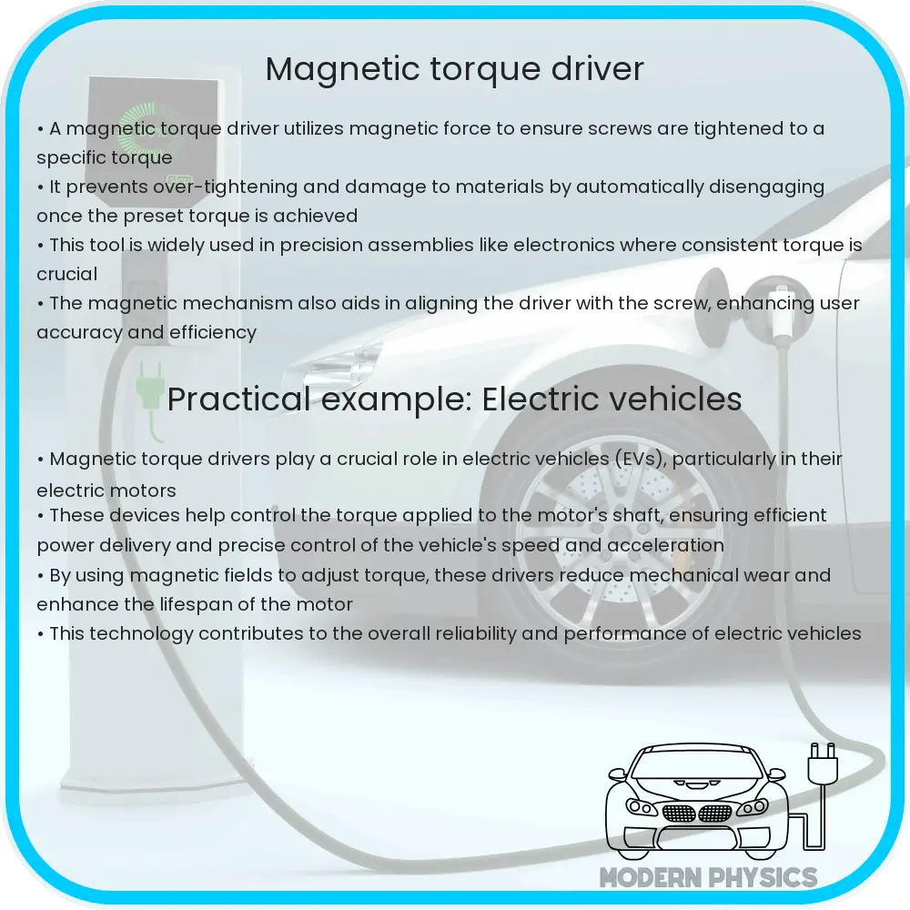 Magnetic torque driver