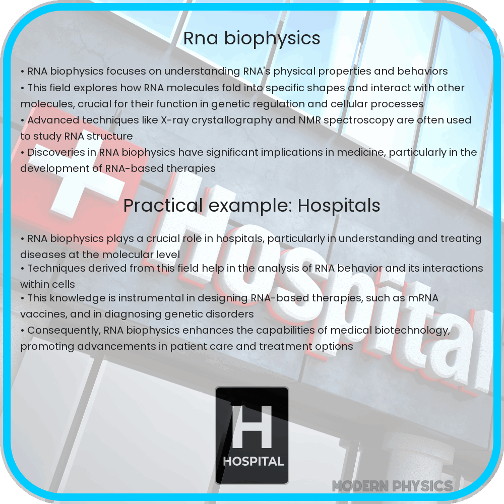 RNA Biophysics