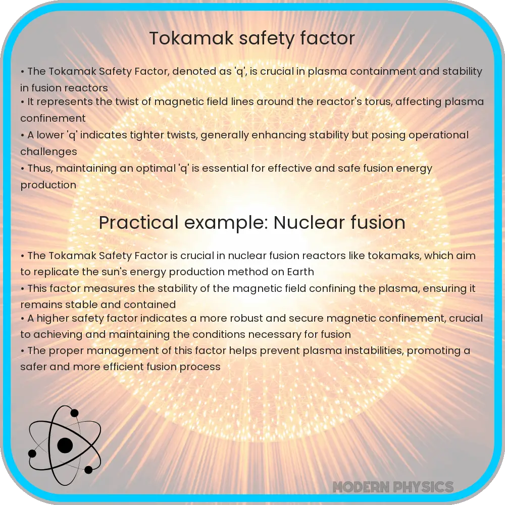 Tokamak Safety Factor
