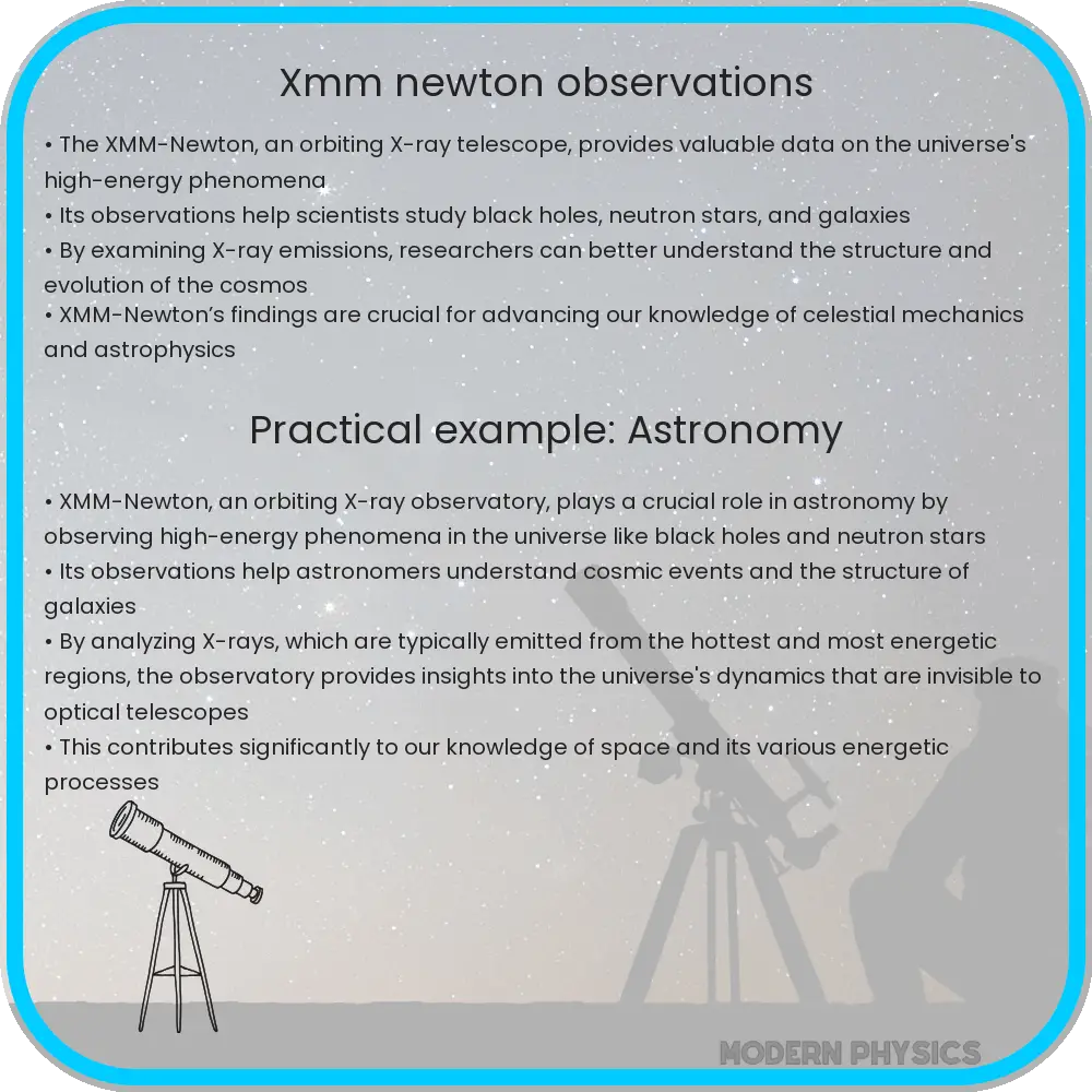 XMM-Newton Observations
