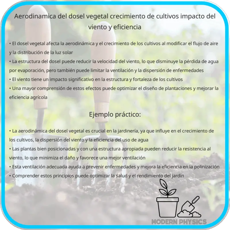 Aerodinámica del Dosel Vegetal | Crecimiento de Cultivos, Impacto del Viento y Eficiencia