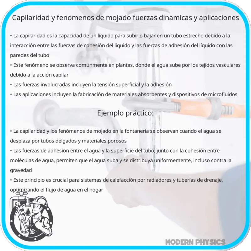 Capilaridad y Fenómenos de Mojado | Fuerzas, Dinámicas y Aplicaciones