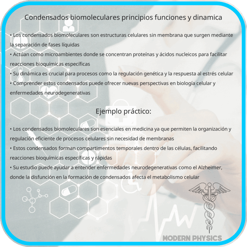 Condensados Biomoleculares | Principios, Funciones y Dinámica