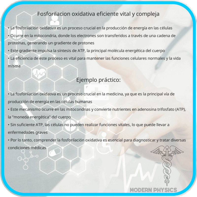 Fosforilación Oxidativa: Eficiente, Vital y Compleja