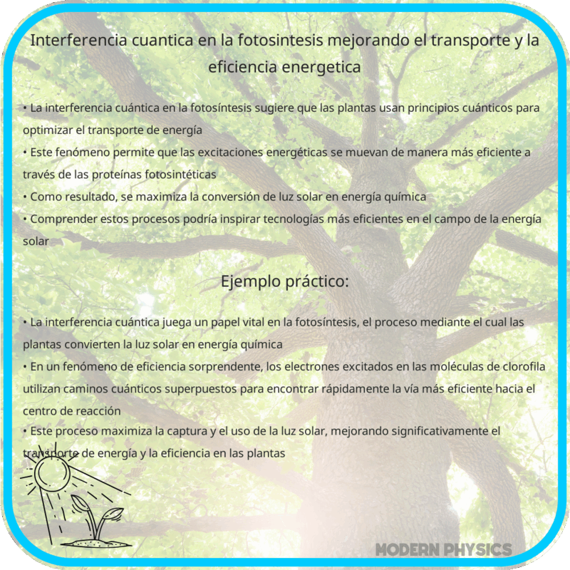 Interferencia Cuántica en la Fotosíntesis | Mejorando el Transporte y la Eficiencia Energética