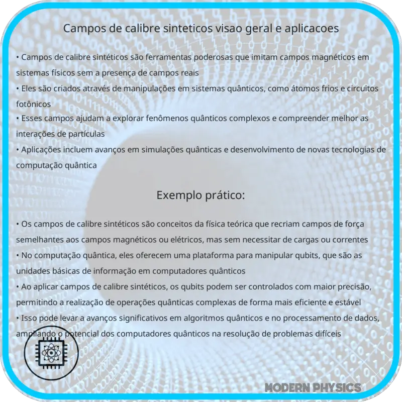Campos de Calibre Sintéticos: Visão Geral e Aplicações
