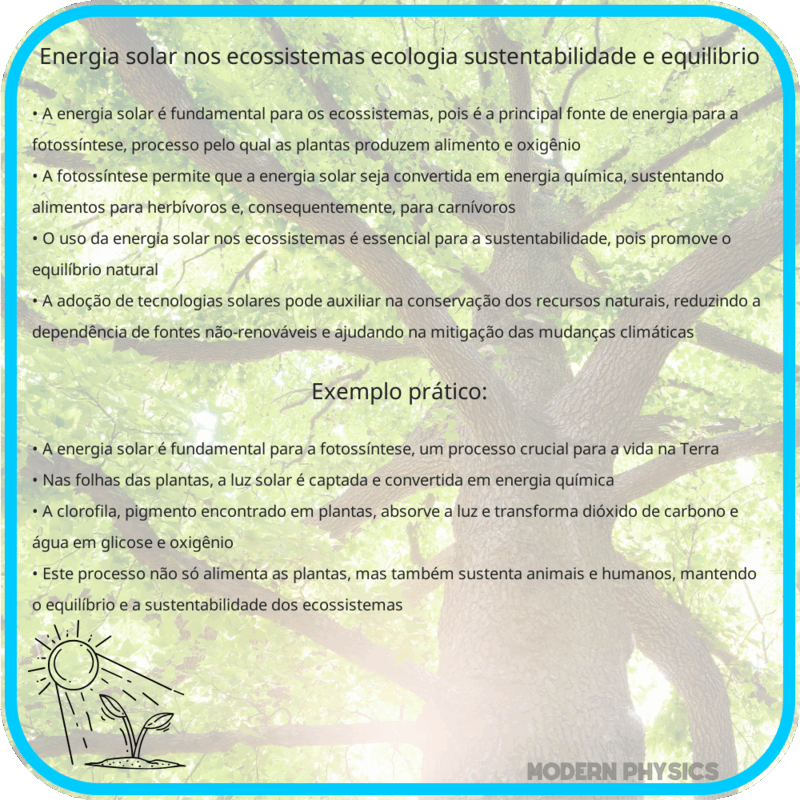 Energia Solar nos Ecossistemas | Ecologia, Sustentabilidade e Equilíbrio